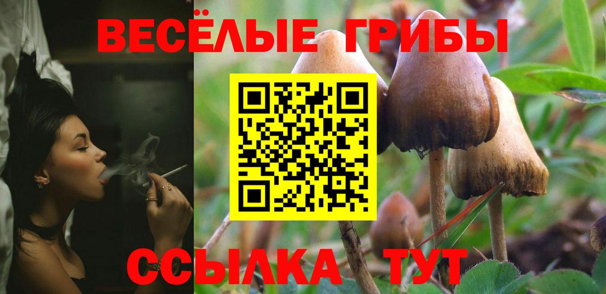 Псилоцибиновые грибы Psilocybine cubensis Джанкой